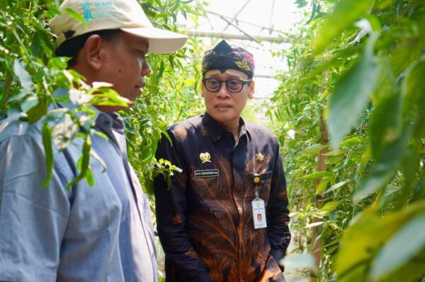 Kementan Apresiasi Penerapan Smart Farming oleh Petani Milenial Pasuruan