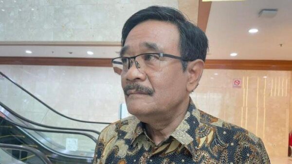 Djarot Tepis Anggapan Keluarga Jokowi Terapkan Dinasti Politik
