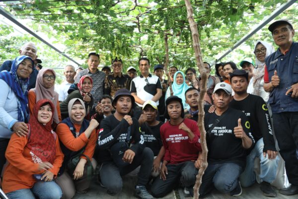 Hari Minggu, Mentan Amran Turun Tinjau Petani Anggur di Palu