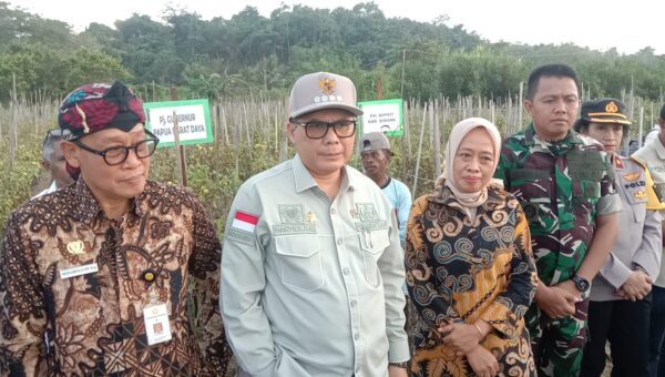 Wamentan Akan Terus Tingkatkan SDM untuk Akselerasi Sektor Pertanian di Sorong
