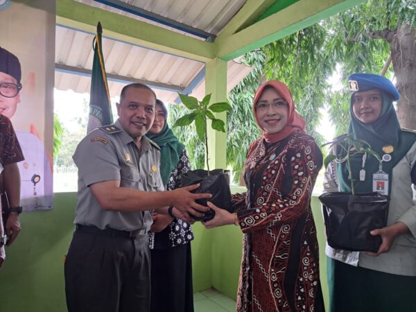 Ketahanan Pangan, Kementan Bagi Puluhan Ribu Bibit Cabai untuk Masyarakat DIY