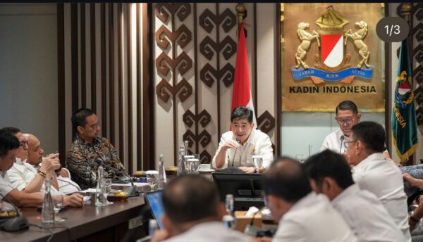 Dewan Pengurus Kadin Indonesia: Upaya Munaslub Menyalahi AD/ART