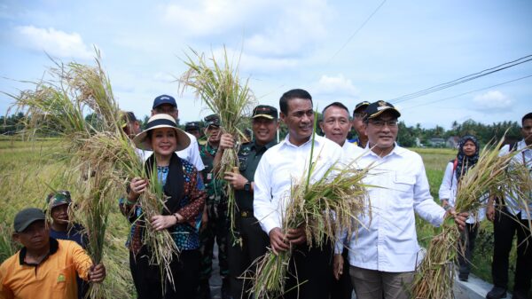 Mari Lindungi Petani Dengan Serap Gabah Sesuai HPP
