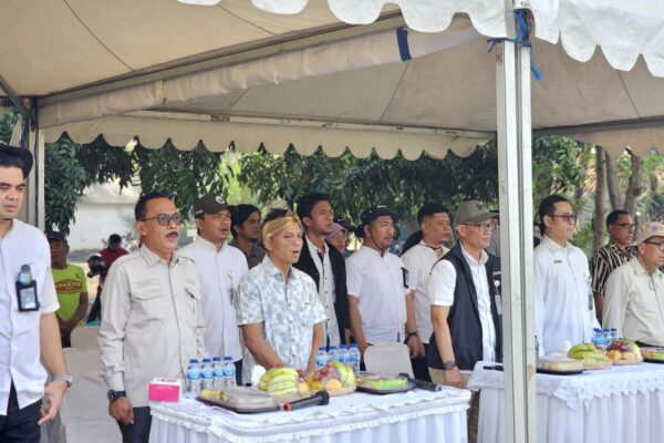 PMO Mitra Tani Bulog Gandeng ABI Terapkan Teknologi Biostimulan, Produksi Padi di Karawang Meningkat