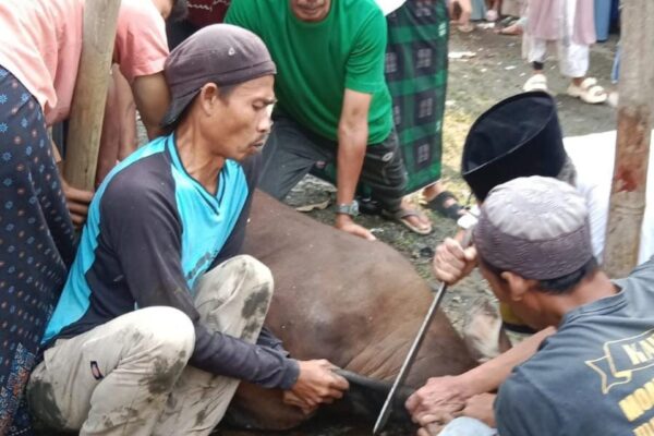 BRI BO Karawang Salurkan Paket Pangan Bergizi
