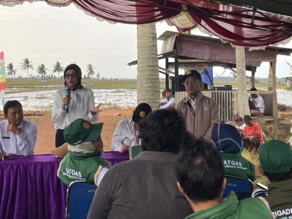 Dukung Swasembada Pangan, Politeknik Enjiniring Kementan Jadi Motor Percepatan LTT di Bangka Belitung