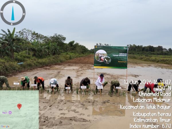 Kementan Gelar Gerakan Tanam Serempak di Berau, Dorong Pertanian Modern dan Percepat Swasembada Pangan