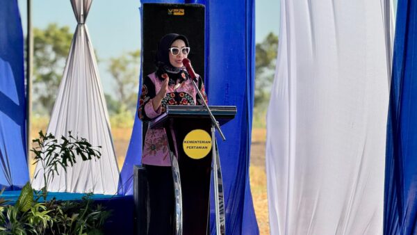 Genjot Produksi Pangan, Kementan Gelar Tanam Serentak di 26 Provinsi