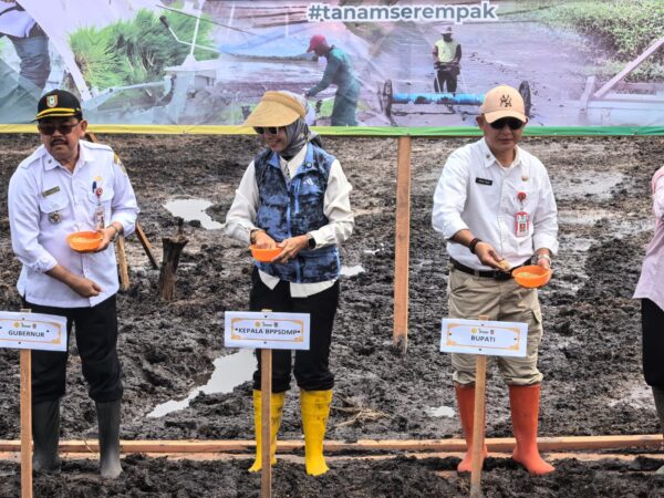 Kementan Percepat Tanam CSR 2026, Pastikan Lahan Segera Produktif